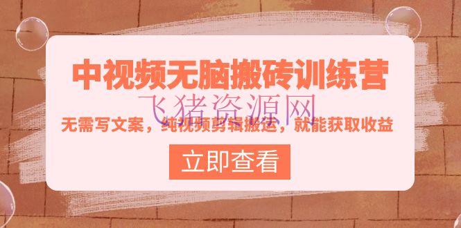 【网赚项目】中视频无脑搬砖训练营：无需写案牍，纯视频剪辑转移，就能获取收益！ - 网赚项目 - 中视频教程, 中视频项目, 副业赚钱, 副业项目, 短视频搬运-飞猪资源网