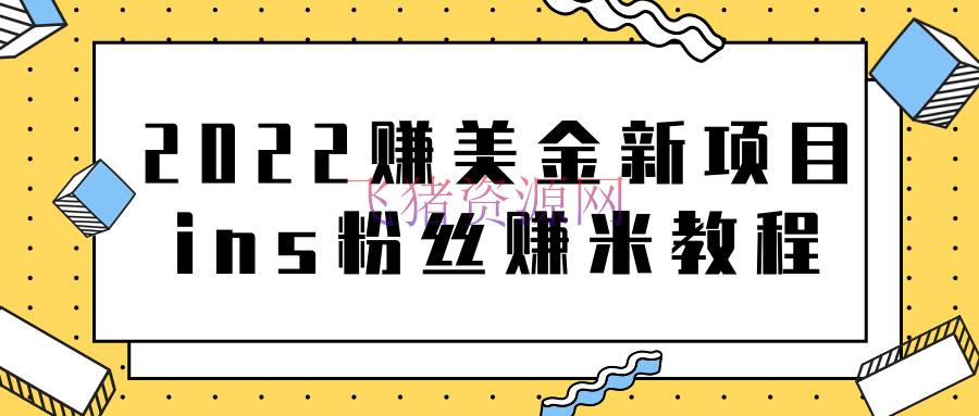 [网赚项目] 2022赚美金新项目，Instagram粉丝赚米项目【视频教程】 - 网赚项目 - Instagram, 网赚项目, 自媒体, 赚钱项目-飞猪资源网
