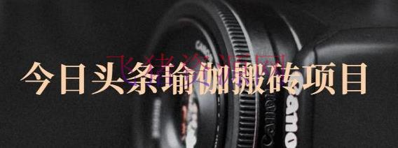 今天头条瑜伽搬砖项目，单号一天几十收入，能够批量操作！【视频教程】 - 网赚项目 - 今日头条, 搬砖项目, 自媒体, 自媒体运营-飞猪资源网