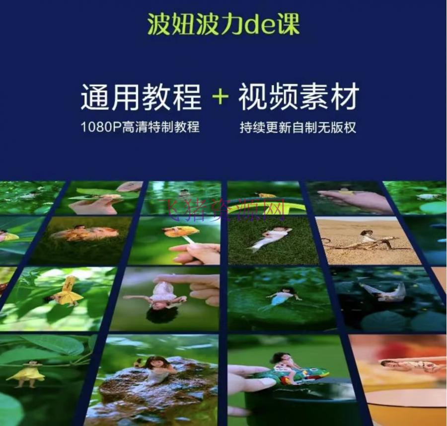 [新媒体运营] 波妞波力的视频通用教程+视频资料+辅导班 - 网赚项目 - 网赚项目, 自媒体, 视频教程, 赚钱项目-飞猪资源网