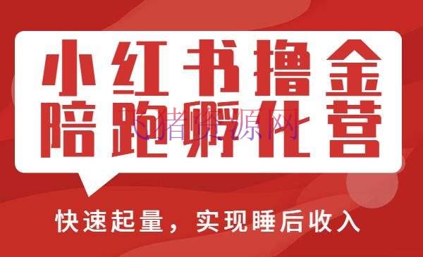 【网赚项目】勇哥小红书撸金快速起量项目：教你怎么快速起号取得曝光，做到月躺赚在3000+ - 网赚项目 - 小红书, 引流, 涨粉, 爆粉引流, 网赚-飞猪资源网