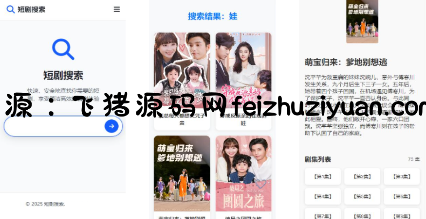 在线短剧搜索支持在线播放源码 - 网站源码 - 飞猪源码网-飞猪源码网
