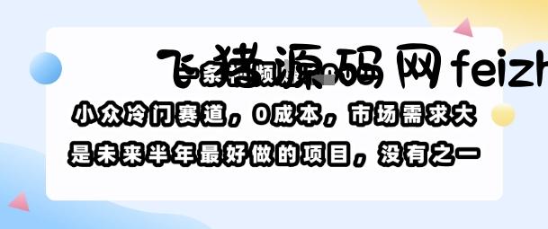一条视频挣1k，小众冷门赛道，0成本，市场需求大，是未来半年最好做的项目，没有之一 - 网赚项目 - 飞猪源码网-飞猪源码网