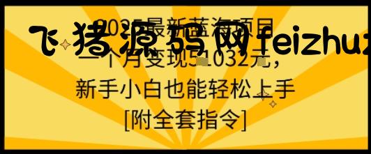 2025最新蓝海项目一个月变现1w+新手小白也能轻松上手【附全套指令】 - 网赚项目 - 飞猪源码网-飞猪源码网
