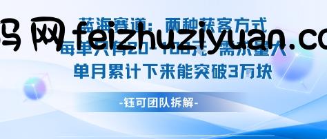 蓝海赛道：需求量大 单月累计下来能突破3W - 网赚项目 - 飞猪源码网-飞猪源码网