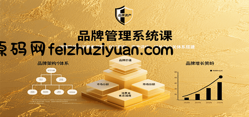 品牌管理系统课：战略定位与消费者洞察，DTC案例、资产评估，增长与公关体系搭建 - 网赚项目 - 飞猪源码网-飞猪源码网