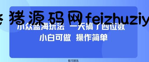 小众蓝海玩法 一天搞了四位数 小白可做 操作简单 - 网赚项目 - 飞猪源码网-飞猪源码网