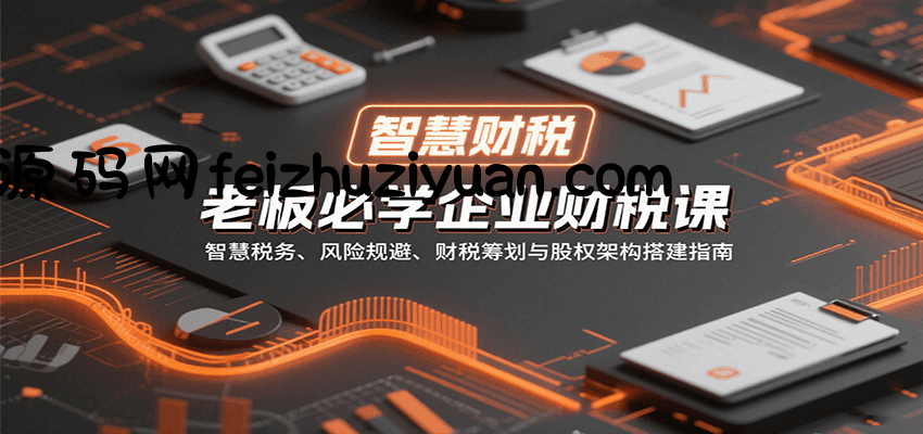 老板必学企业财税课：智慧税务、风险规避、财税筹划与股权架构搭建指南-飞猪源码网