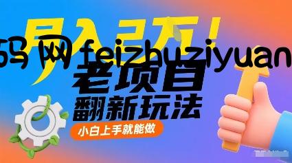 月入2W！老项目翻新玩法，小白上手就能做，非常容易上手 - 网赚项目 - 飞猪源码网-飞猪源码网