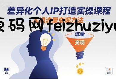 差异化个人IP打造实操课程，实操流量变现方法 - 网赚项目 - 飞猪源码网-飞猪源码网