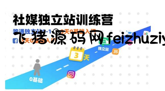 社媒独立站训练营，跑通独立站0-1，3天0基础入门 - 网赚项目 - 飞猪源码网-飞猪源码网
