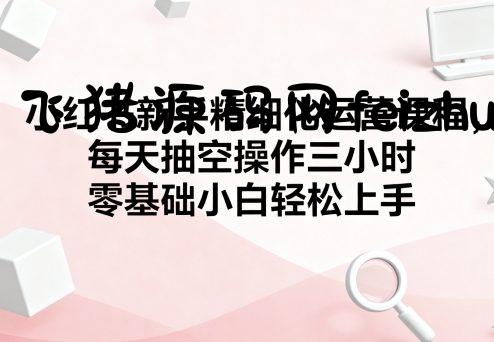 小红书新手精细化运营课程，每天抽空操作三小时，零基础小白轻松上手 - 电商运营 - 飞猪源码网-飞猪源码网