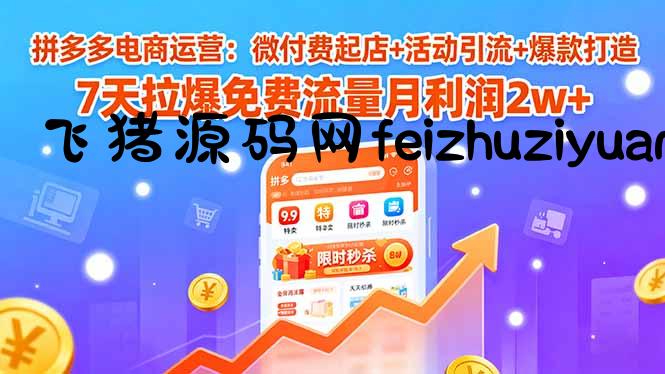 拼多多电商运营：微付费起店+活动引流+爆款打造 7天拉爆免费流量月利润2w+ - 电商运营 - 飞猪源码网-飞猪源码网
