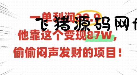 一单利润39.9，有人靠这个变现几十个，偷偷闷声发财的项目 - 网赚项目 - 飞猪源码网-飞猪源码网