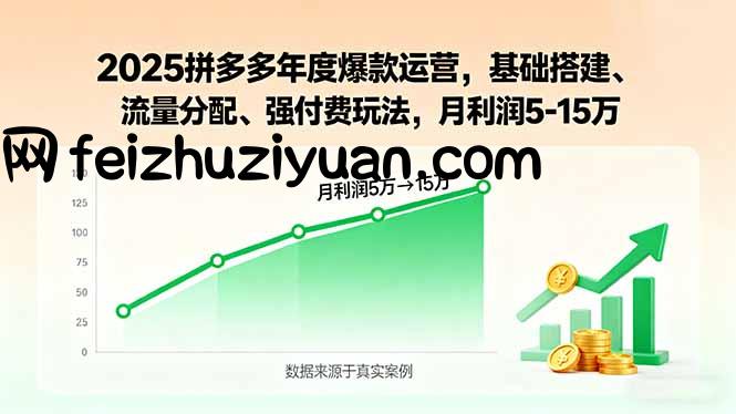 2025拼多多年度爆款运营，基础搭建、流量分配、强付费玩法，月利润5-15万 - 电商运营 - 飞猪源码网-飞猪源码网