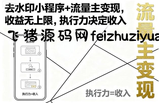 去水印小程序+流量主变现，收益无上限，执行力决定收入 - 抖音快手 - 飞猪源码网-飞猪源码网