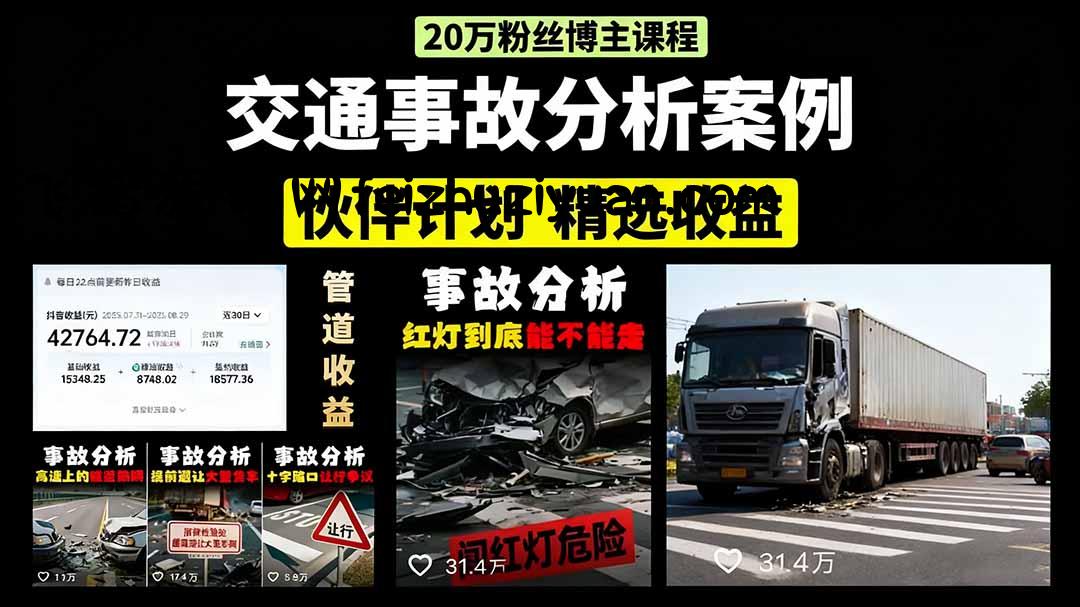 交通事故分析案例短视频，剪辑技巧+文案模板+配音教学+快速起号 月收益2w+ - 抖音快手 - 飞猪源码网-飞猪源码网