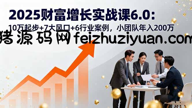 2025财富增长实战课6.0：10万起步+7大风口+6行业案例，小团队年入200万 - 网赚项目 - 飞猪源码网-飞猪源码网