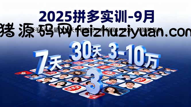 2025拼多多实训-9月：新手7天起量,30天日销破万,月利润3-10万,可矩阵复制 - 电商运营 - 飞猪源码网-飞猪源码网
